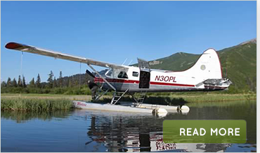 alaskan float plane safari